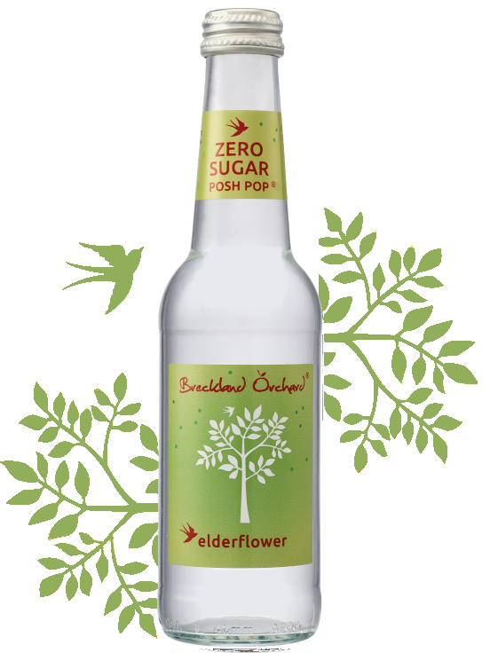 Breckland Orchard Sugar Free Elderflower Drink 275ml The Hatchery Farm Shop